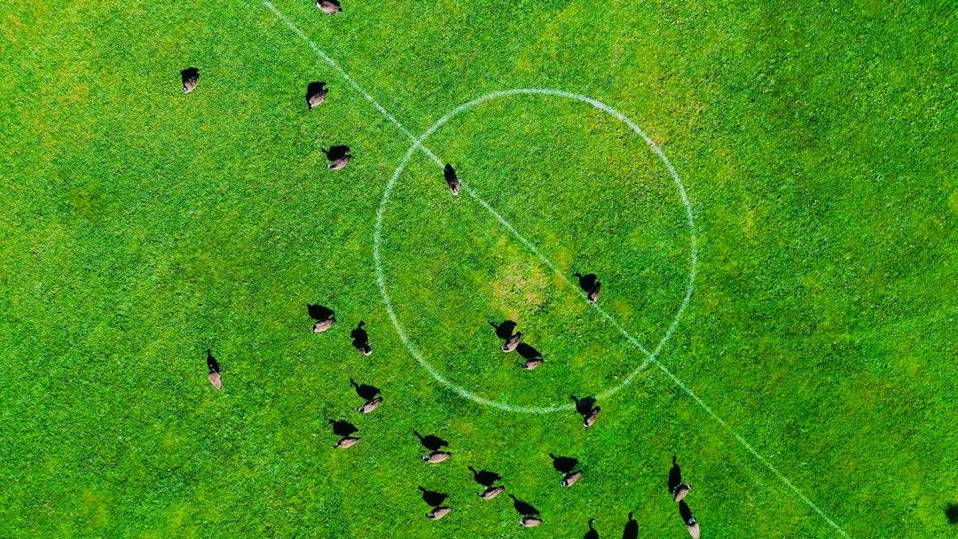 A green football pitch under open sky