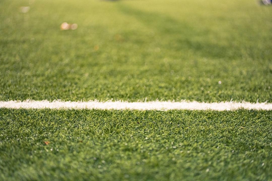 A white line on a green grassy field